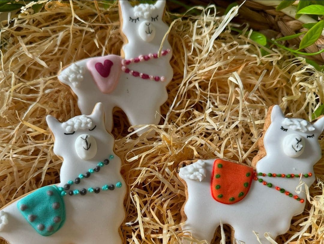 biscuit décoré et personnalisé lama