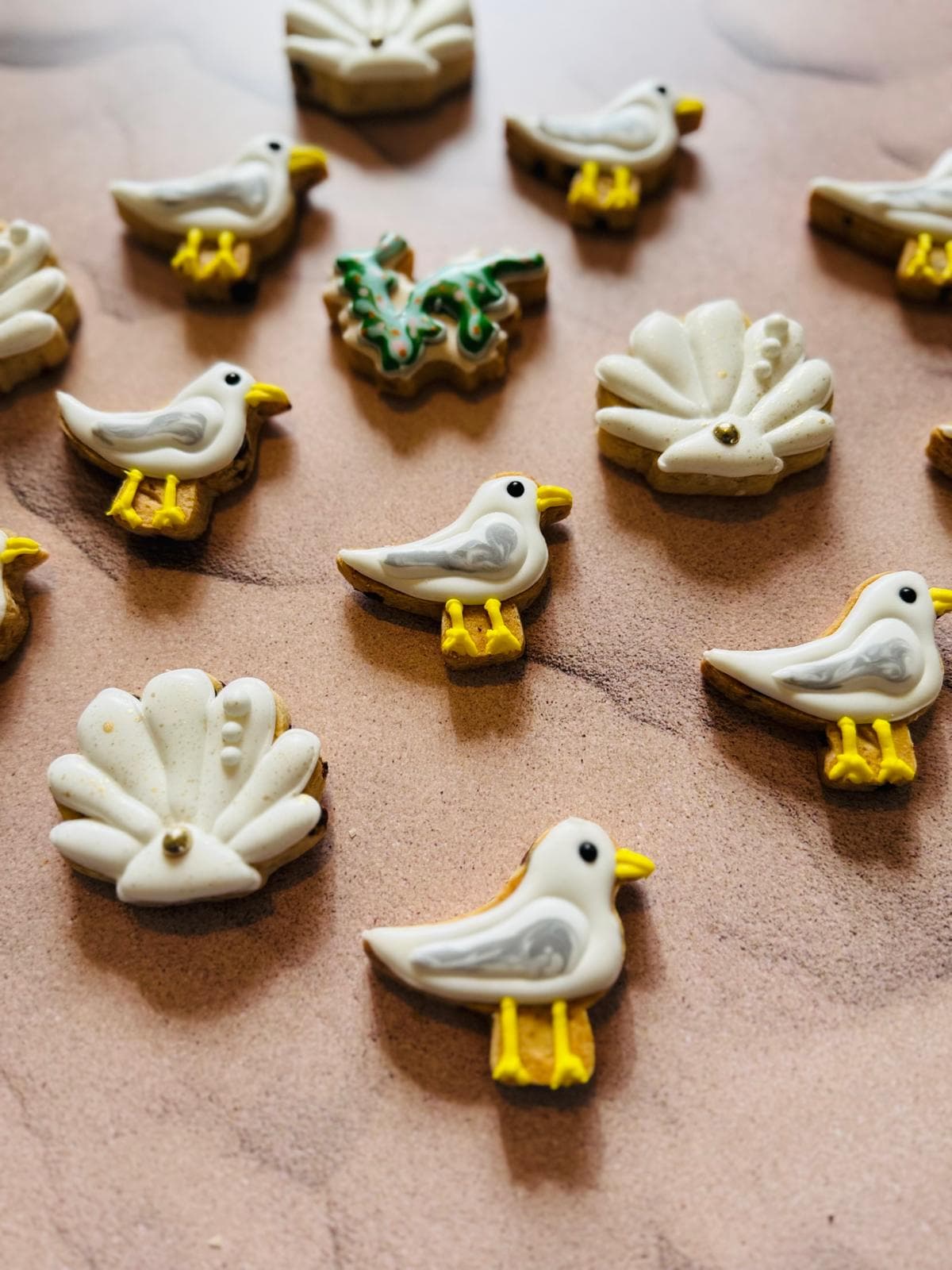 Biscuit mouette et saint jacques